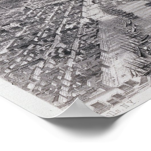 Uitzicht van de vogelsoort van New Orleans Poster (Hoek)