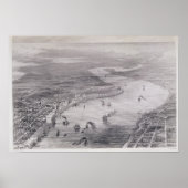 Uitzicht van de vogelsoort van New Orleans Poster (Voorkant)