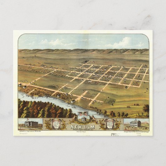 Uitzicht van de vogelsoort van New Ulm, Minnesota  Briefkaart (Voorkant)