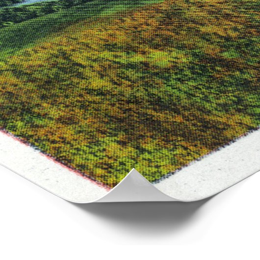 Uitzicht van de vuurtoren van Nobska, Bossen Hole Poster (Hoek)