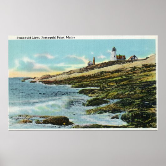 Uitzicht van de vuurtoren van Pemaquid Poster (Voorkant)