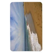 Uitzicht van de Wedge, Krantenband, Californië Magneet (Verticaal)