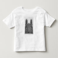 Uitzicht van de westkust van de kathedraal van Yor