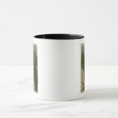 Uitzicht van de Winding Trail, Castle, Top Mok (Midden)