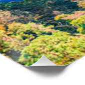 Uitzicht van de windrivier de Sunny Autumn Forest Perfect Poster (Hoek)