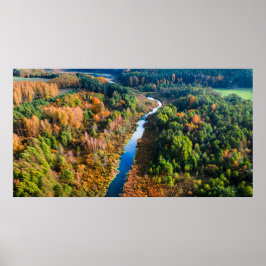 Uitzicht van de windrivier de Sunny Autumn Forest Poster