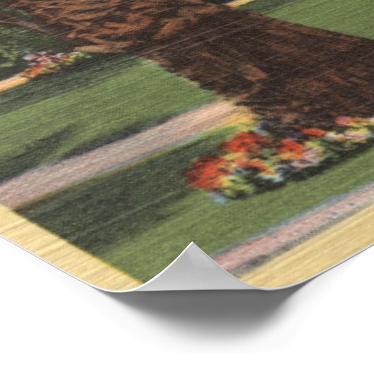 Uitzicht van de woonplaats van Eleanor Powell Poster (Hoek)