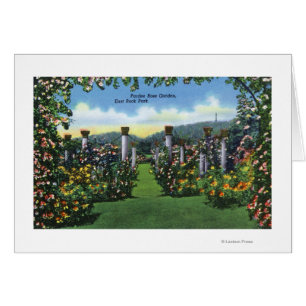 Uitzicht van de Yale Bowl Stadium, Yale U