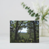 Uitzicht van de zomer in het natuurpark Acadia Briefkaart (Staand voorkant)