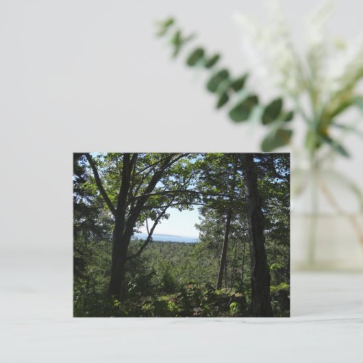 Uitzicht van de zomer in het natuurpark Acadia Briefkaart (Staand voorkant)