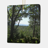 Uitzicht van de zomer in het natuurpark Acadia Keramisch Ornament (Links)