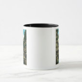 Uitzicht van de Zuidelijke Entrance Gorge Mok (Midden)