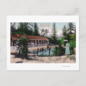 Uitzicht van de zwembad, CA Briefkaart (Voorkant)