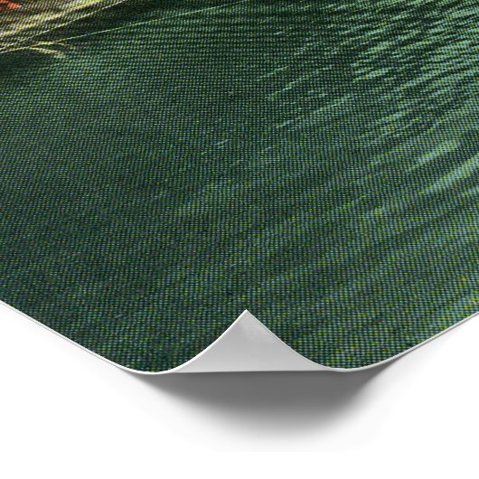 Uitzicht van de zwembad poster (Hoek)