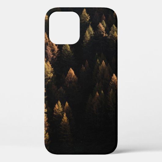 Uitzicht van dennenbomen vanuit de lucht Case-Mate iPhone case (Achterkant)