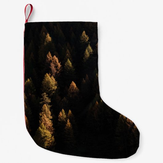 Uitzicht van dennenbomen vanuit de lucht kleine kerstsok (Voorkant)