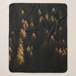 Uitzicht van dennenbomen vanuit de lucht sherpa deken