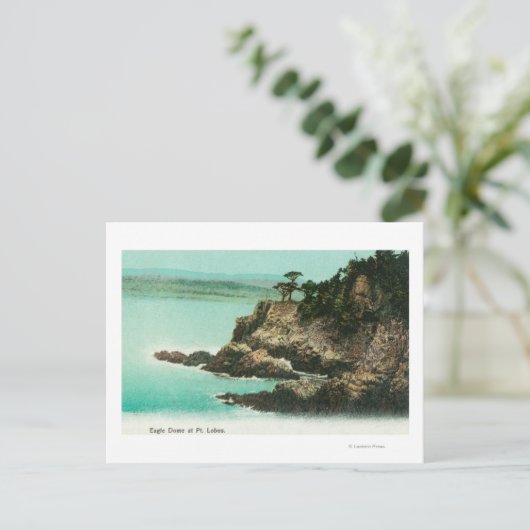 Uitzicht van Eagle Dome in Point Lobos Briefkaart (Staand voorkant)