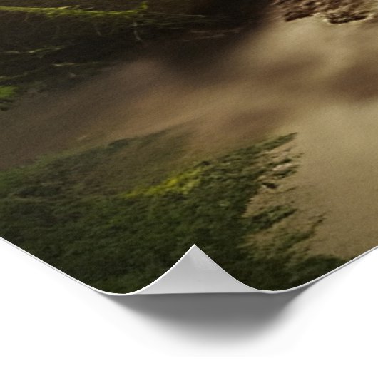 Uitzicht van een bosstroom poster (Hoek)