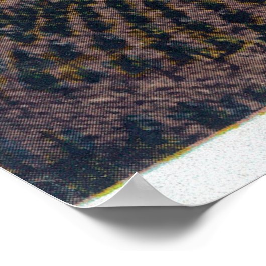 Uitzicht van een Californische wijnbouw en wijnbou Poster (Hoek)