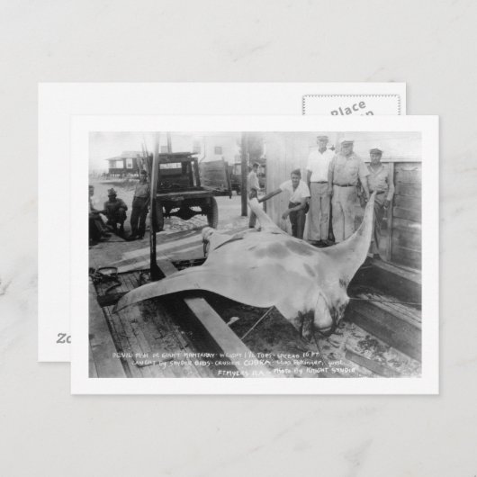 Uitzicht van een Caught Manray Briefkaart (Voorkant / Achterkant)