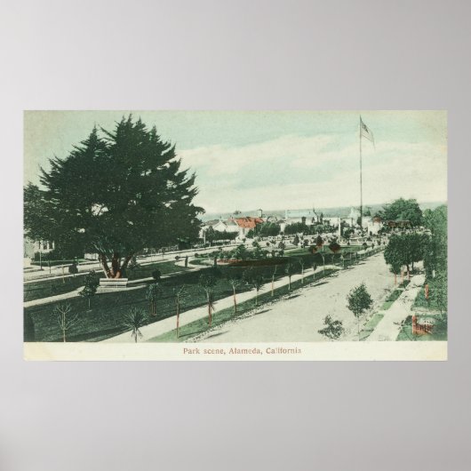Uitzicht van een City ParkAlameda, CA Poster (Voorkant)
