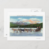 Uitzicht van een Dogsled Team op Mirror Lake Briefkaart (Voorkant / Achterkant)