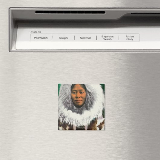 Uitzicht van een Eskimo Beauty Magneet (Insitu (Vaatwasser))