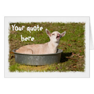 Uitzicht van een geit