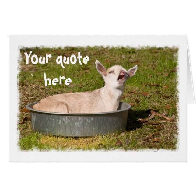 Uitzicht van een geit (Voorkant Horizontaal)