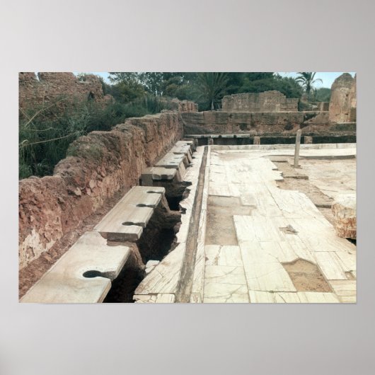 Uitzicht van een gemeenschappelijk toilet poster (Voorkant)