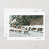 Uitzicht van een Husky Dog-Sled Team Briefkaart (Voorkant / Achterkant)