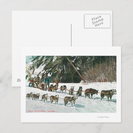Uitzicht van een Husky Dog-Sled Team Briefkaart (Voorkant / Achterkant)