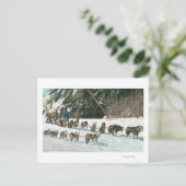Uitzicht van een Husky Dog-Sled Team Briefkaart (Staand voorkant)