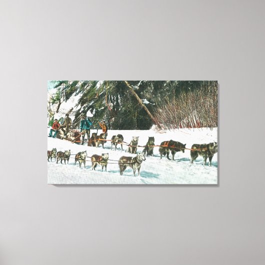 Uitzicht van een Husky Dog-Sled Team Canvas Afdruk (Voorkant)