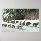 Uitzicht van een Husky Dog-Sled Team Poster (Voorkant)