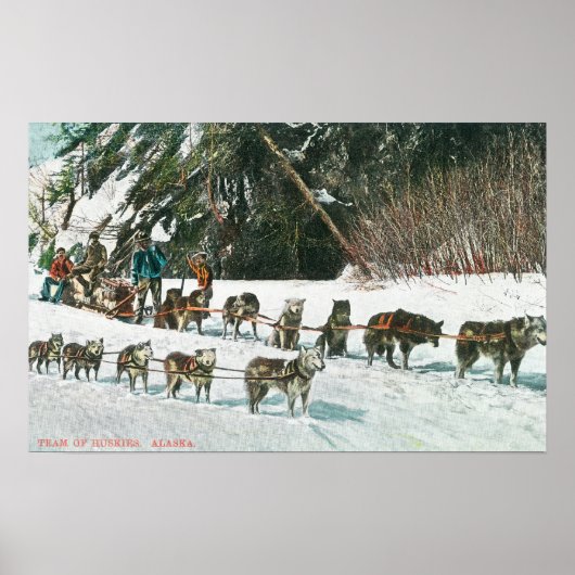 Uitzicht van een Husky Dog-Sled Team Poster (Voorkant)