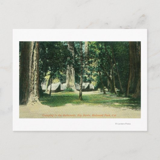 Uitzicht van een kamp in de kustmammoetbomen briefkaart (Voorkant)