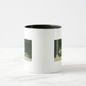 Uitzicht van een kamp in de kustmammoetbomen mok (Midden)