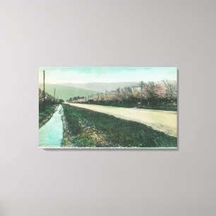 Uitzicht van een landweg tijdens de voorjaarstijd canvas afdruk