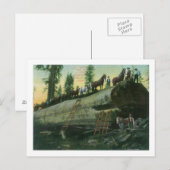 Uitzicht van een Loggingteam op een Gestorven sequ Briefkaart (Voorkant / Achterkant)