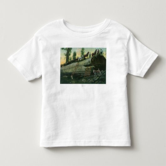 Uitzicht van een Loggingteam op een Gestorven sequ Kinder Shirts (Voorkant)