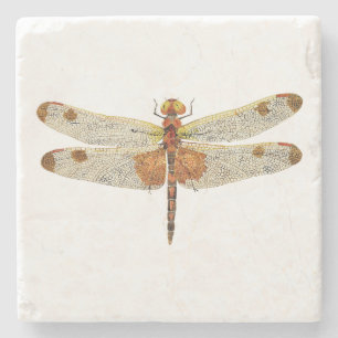 uitzicht van een mannetje Calico Pennant Dragonfly Stenen Onderzetter