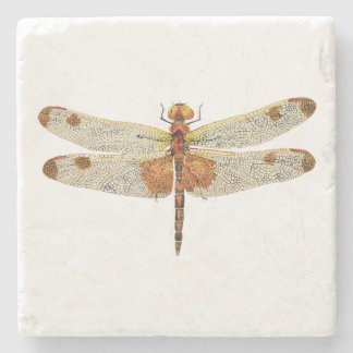 uitzicht van een mannetje Calico Pennant Dragonfly Stenen Onderzetter
