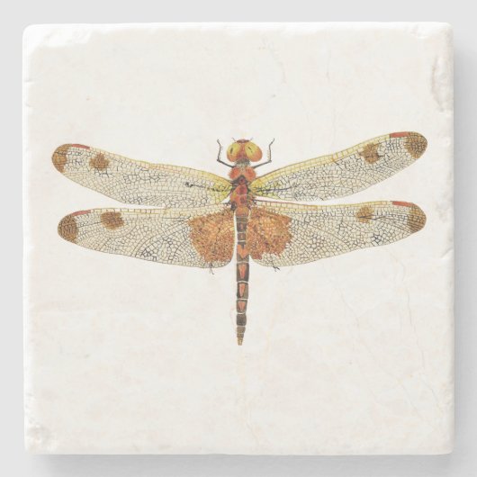 uitzicht van een mannetje Calico Pennant Dragonfly Stenen Onderzetter (Voorkant)