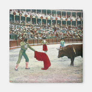 Uitzicht van een Matador die de BullSpain Magneet