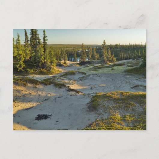 Uitzicht van een meer en de omliggende zandheuvels briefkaart (Voorkant)