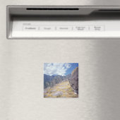 Uitzicht van een neerslag magneet (Insitu (Vaatwasser))