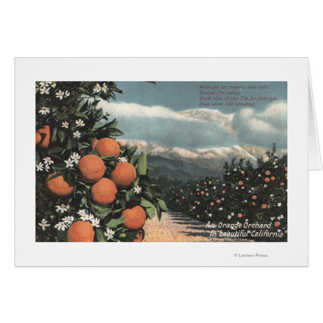 Uitzicht van een Oranje boomgaard met bergen (Voorkant Horizontaal)