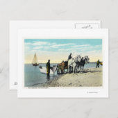 Uitzicht van een Paard Cart Pulling in een Boat Briefkaart (Voorkant / Achterkant)
